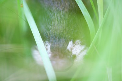 BUITEN BEELD Foto: 138879