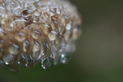 BUITEN BEELD Foto: 138913
