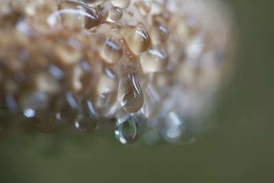 BUITEN BEELD Foto: 138914