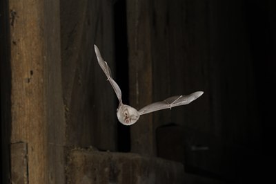 BUITEN BEELD Foto: 138960