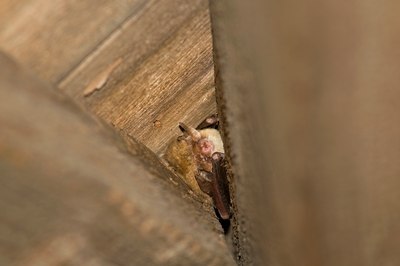 BUITEN BEELD Foto: 138964