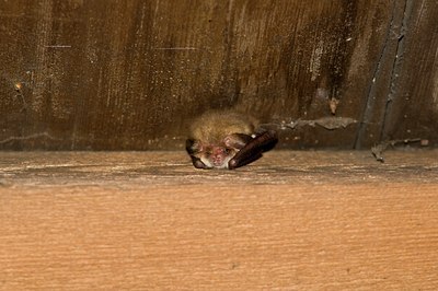 BUITEN BEELD Foto: 138965