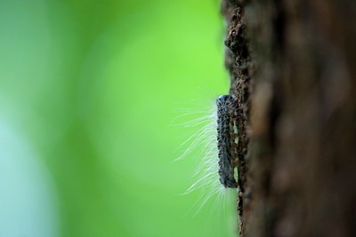 BUITEN BEELD Foto: 138974