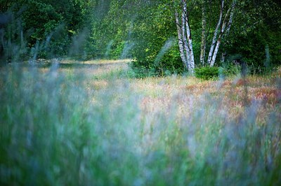 BUITEN BEELD Foto: 138978