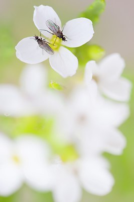 BUITEN BEELD Foto: 138991