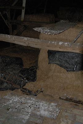BUITEN BEELD Foto: 13003