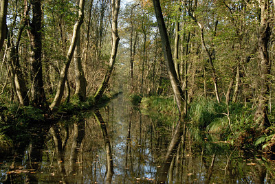 BUITEN BEELD Foto: 13030