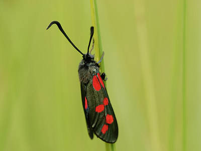 BUITEN BEELD Foto: 13046