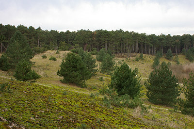BUITEN BEELD Foto: 13054