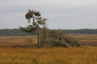 BUITEN BEELD Foto: 13086