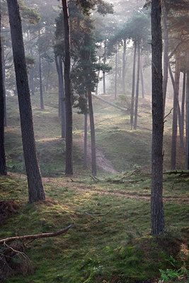 BUITEN BEELD Foto: 13093
