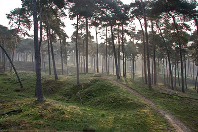 BUITEN BEELD Foto: 13094