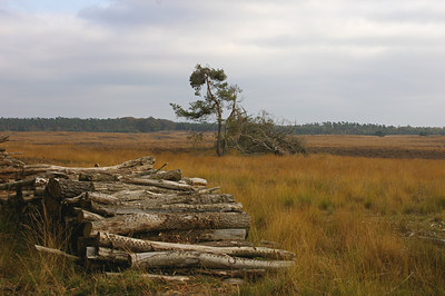 BUITEN BEELD Foto: 13096