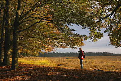 BUITEN BEELD Foto: 13098