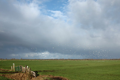 BUITEN BEELD Foto: 13111