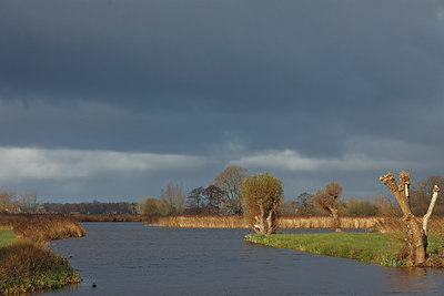 BUITEN BEELD Foto: 13114