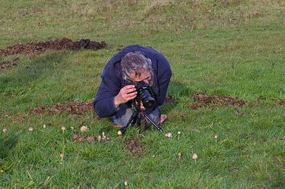 BUITEN BEELD Foto: 13185