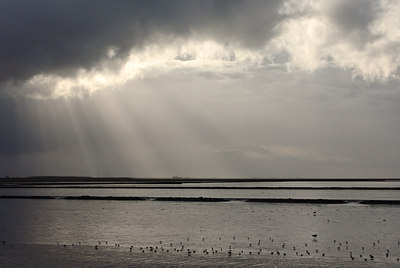 BUITEN BEELD Foto: 13241