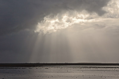 BUITEN BEELD Foto: 13242