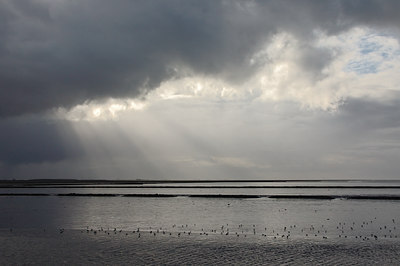 BUITEN BEELD Foto: 13247
