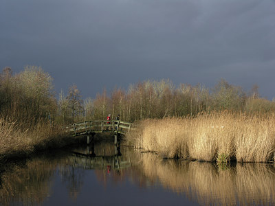 BUITEN BEELD Foto: 13388