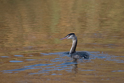 BUITEN BEELD Foto: 13390