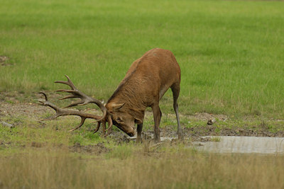 BUITEN BEELD Foto: 13405