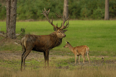 BUITEN BEELD Foto: 13408