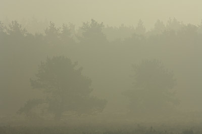 BUITEN BEELD Foto: 13420