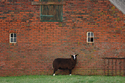 BUITEN BEELD Foto: 13449