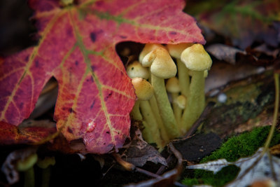 BUITEN BEELD Foto: 13450