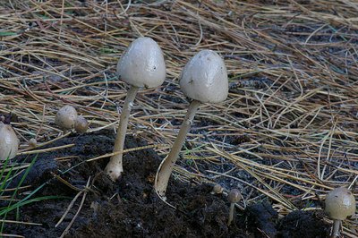 BUITEN BEELD Foto: 13494