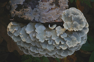 BUITEN BEELD Foto: 13504