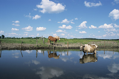 BUITEN BEELD Foto: 13551