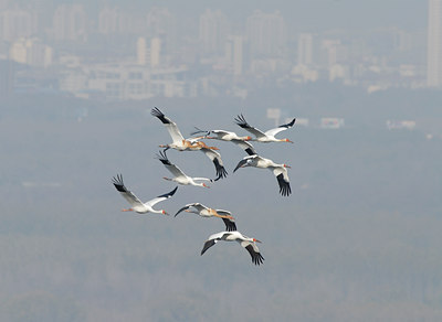BUITEN BEELD Foto: 13630