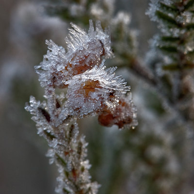 BUITEN BEELD Foto: 13688