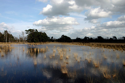 BUITEN BEELD Foto: 13692