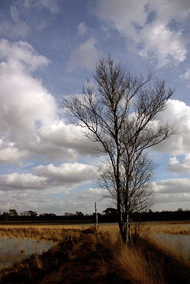 BUITEN BEELD Foto: 13693