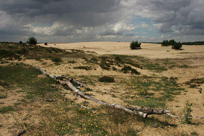 BUITEN BEELD Foto: 13697