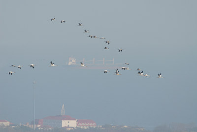 BUITEN BEELD Foto: 13870