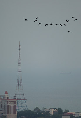 BUITEN BEELD Foto: 13872