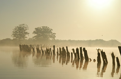 BUITEN BEELD Foto: 13876