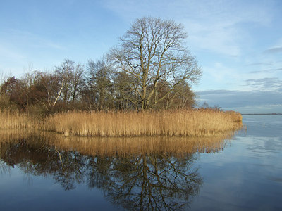 BUITEN BEELD Foto: 13877