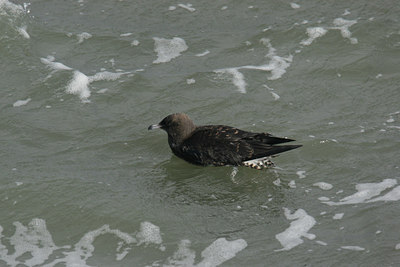 BUITEN BEELD Foto: 13979