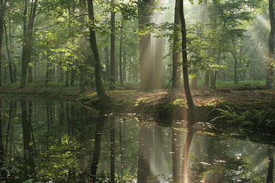 BUITEN BEELD Foto: 13981