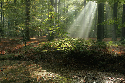 BUITEN BEELD Foto: 13982
