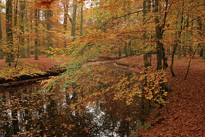 BUITEN BEELD Foto: 13985