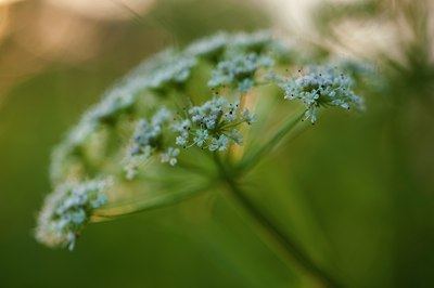 BUITEN BEELD Foto: 139022