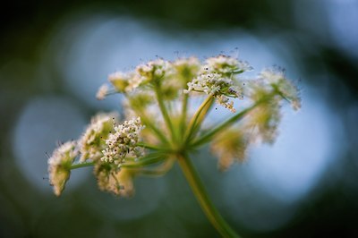 BUITEN BEELD Foto: 139026