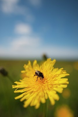 BUITEN BEELD Foto: 139039